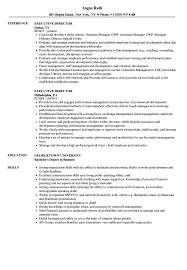 Executive Director Resume Samples Velvet Jobs