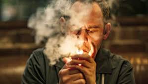 Stefan became a successful lawyer in dubai while kai is stuck in their. Lommbock 2017 Film Trailer Kritik