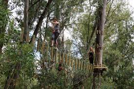 Outdoor Activity Park Pretoria Long Zip Line Team Building