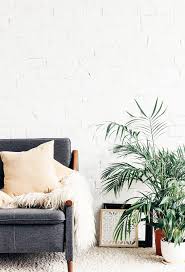 As america's number one online plant nursery, we take pride in the quality of our plants and service. Plants House Plants Page 1 Hirt S Gardens