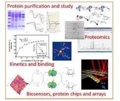 La relazione del nucleo di valutazione , ovvero acquisizione dell'attitudine a ideare e sostenere argomentazioni, nonché di una corretta metodologia per l'impiego pratico delle nozioni. Sdn Laurea Magistrale In Chimica Clinica Forense E Dello Sport