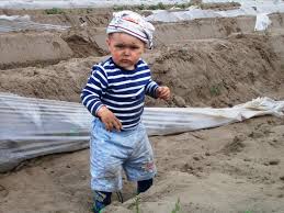 Wann ist spargelzeit in deuschland? Spargelzeit In Brandenburg Spargelhof Klaistow