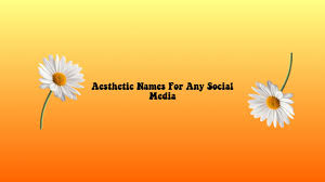 Hotmen Aesthetic Cute Profile Pictures For Tiktok Art is the imposing of a pattern on experience, and our #aesthetic enjoyment is recognition of the pattern. hotmen blogger