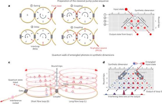 Quantum state processing through controllable synthetic temporal photonic lattices | Nature Photonics