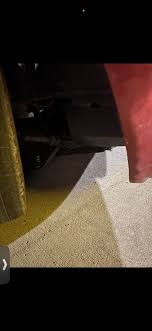 Spotted in Bowling Green