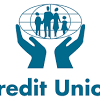 How do you start a new credit union? 1