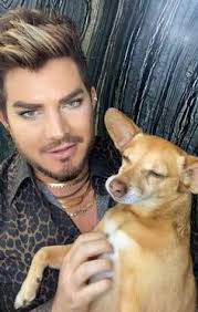 Discover 42 Adam and adam lambert ideas