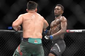 In the interview israel said, i have a tattoo of nigeria with a lion inside it on my chest, so when i was fighting this championship belt fight i just kept in saying repeatedly in yoruba 'aya bi ekun' because i have a lion heart and i was willing to die Israel Adesanya Reacts To Fan Tattoo I Knew This Day Was Coming
