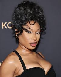 Megan Thee Stallion wins legal round against YouTuber and Tory Lanez  supporter | WTYE  WTAY