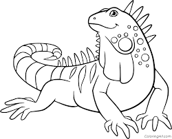 When we think of october holidays, most of us think of halloween. Iguana Coloring Pages Coloringall