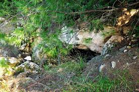 Φωτιά και στα άνω λιόσια πίσω από το ποικίλο όρος. Sphlaio Zastani H Monadikh Fysikh Phgh Sto Poikilo Oros