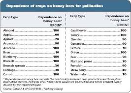 honeybee pollination chart cucumber celery pear