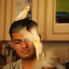 Niraj Naik (@nirajdnaik) • Threads, Say more