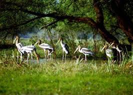 भरतपुर | BHARATPUR  | IBNTRO | TOURIST SPOT | IN HINDI 