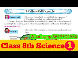 Maybe you would like to learn more about one of these? Class 8th Science 10th Lesson Cell And Cell Organelles Part 1 Cell And Cell Organelles Std 8th Youtube