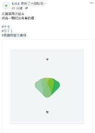 she終合體臉書洩密17年演唱會 密