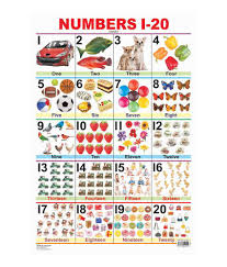 We're here to support your family! Numbers 1 20 Laminated Chart Size 48cm X 73cm Buy Numbers 1 20 Laminated Chart Size 48cm X 73cm Online At Low Price In India On Snapdeal