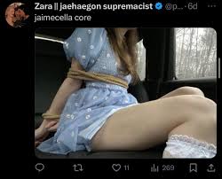 Ellie🪷VAN IS ALIVE!! on X: Not only are yall pedophiles who joke about  rape and CSA but ur also just freaks- this is what a lack of parental love,  childhood bullying and