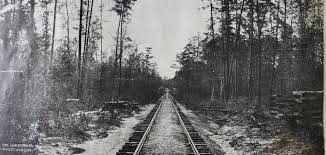 MORE ABOUT CUTTING, HAULING & PROCESSING THE BIG TIMBER FROM THE SABINE  RIVER BOTTOM. The following info is from the AMERICAN LUMBERMAN first  published