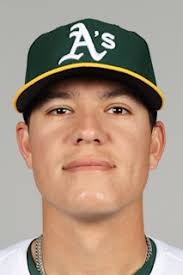 Anthony Maldonado Stats, Age, Position, Height, Weight, Fantasy & News