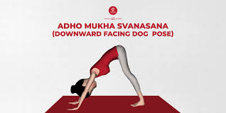 Go from studio to street with new leggings, jackets, bras, & accessories from alo. How To Do Adho Mukha Svanasana Benefits Of Adho Mukha Savasana