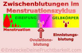 Die einnistungsblutung ist ein häufig übersehenes schwangerschaftsanzeichen, da sie in eine davon ist die einnistungsblutung. Was Deine Zwischenblutung Dir Sagen Will Schwangerwerden Tipps