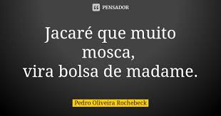 Jacare Que Muito Mosca Vira Bolsa De Pedro Oliveira Rochebeck