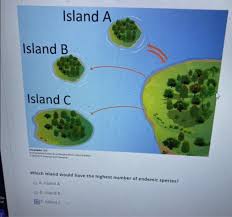 Solved Island A Island B Island C Which Island Would Have Chegg Com A response from a man asked what he would do if he won the powerball. solved island a island b island c