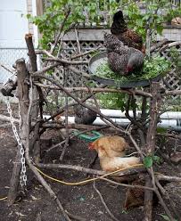 Image Result For Hen Run Enrichment Huhnergarten Huhner Im Garten Chicken Coop Designs