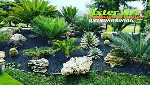 Taman Kering Taman Jepang Di 2020 Taman Jepang Taman Taman Vertikal