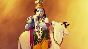 Janmashtami is a hindu religious festival, celebrating the birthday of lord krishna. Zkx0qvkcspmc4m