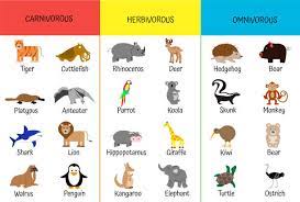 16 052 Carnivorous Illustrations Clip Art Istock