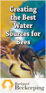 You know you've got honey bees in your house! Creating The Best Water Sources For Bees Backyard Beekeeping