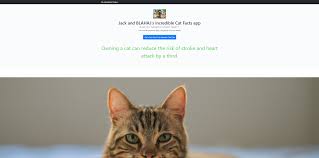 It's time to enjoy one of america's longest lasting favorite pastimes. Random Cat Facts Build With A Starter Kit Challenge Devpost