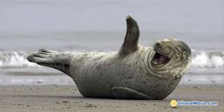 Міжнародні свята та події день сміху 1906 — підписано міжнародну конвенцію з охорони птахів та оголошено міжнародний день. 1 Kvitnya Den Smihu 1 Kvitnya Znamenni Dati Potochnogo Kalendarnogo Roku Kalendar Svyata Ta Podiyi