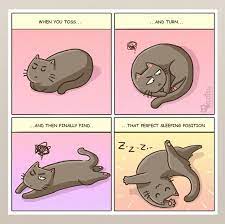 101 Comics That Purrfectly Capture Life With Cats Cat Comics Cat Quotes Funny Cat Facts