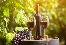 Wine Dinner — The Ridge At Back Brook