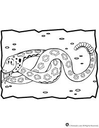 The most common rattlesnake coloring material is metal. Rattlesnake Coloring Page Woo Jr Kids Activities