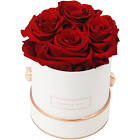 Check spelling or type a new query. 59 95