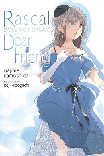 Rascal Does Not Dream of a Dear Friend (light novel) (Volume 15) (Rascal Does Not Dream (light novel), 15): Kamoshida, Hajime, Cunningham, Andrew, Mizoguchi, Keji: 9798855422436: Amazon.com: Books