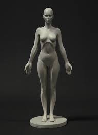 Female torso muscle anatomy drawing. Anatomy Figures For Character Designers