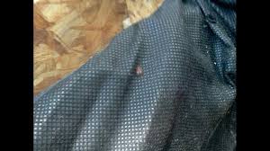 Check reviews and discounted rates for aaa/aarp members, seniors, groups & military. Family Finds Bed Bugs In Rented Furniture