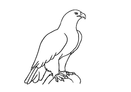 How to draw an eagle easy. How To Draw An Eagle Step By Step Easy Animals 2 Draw