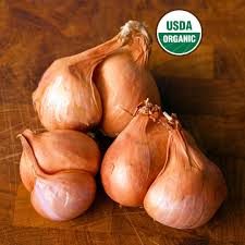 Image result for shallots
