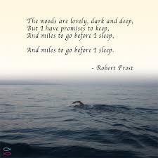 Miles to go before i sleep quotes. Quotes About Miles To Go 56 Quotes