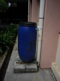 By harvesting our abundant rainfall, we are helping the environment by using this resource sustainably. Rain Water Harvesting