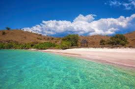 Maybe you would like to learn more about one of these? Pink Beach Pantai Merah Muda East Nusa Tenggara Tickets Tours Book Now
