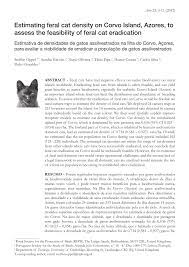 Pdf Estimating Feral Cat Density On Corvo Island Azores To Assess The Feasibility Of Feral Cat Eradication