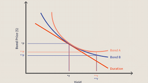 Convexity Definition