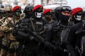 Masing masing pasukan khusus ini mempunyai kemampuan dan kelebihan masing masing baik untuk kesuksesan misi maupun bertahan. Indonesian Navy Frogman Kopaska Militer Angkatan Darat Korps Marinir